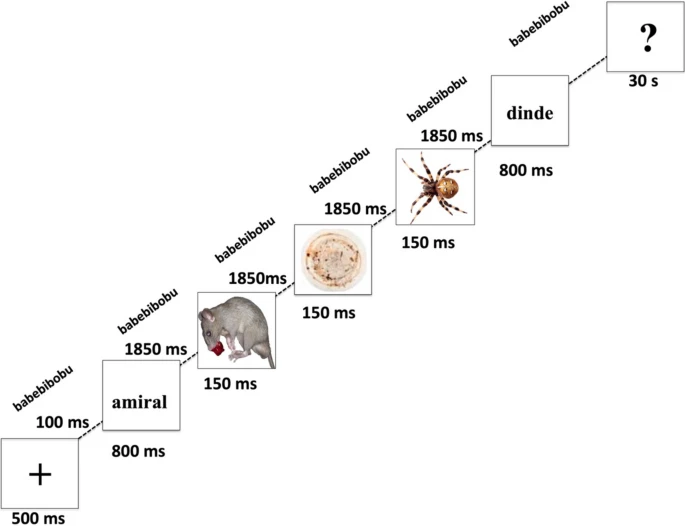Colliot et al. (2024)